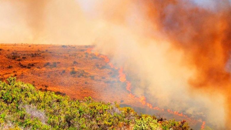 Otro día con fuego: bomberos trabajan para sofocar el incendio en la Cumbre 