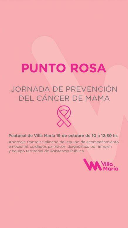 Suspendieron la actividad del punto rosa en la peatonal