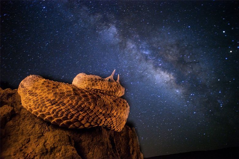 Cuernos galácticos