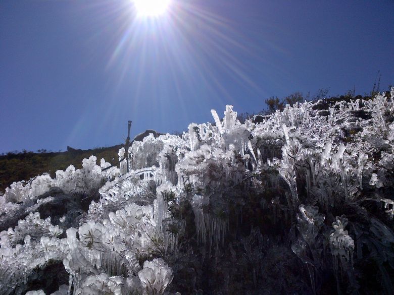 Heladas tardías generan daños en el sector viñatero