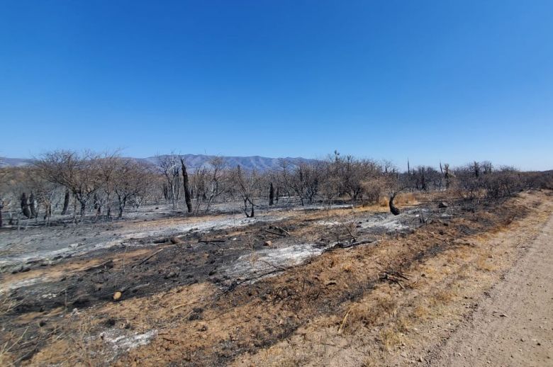 Está contenido el incendio de Tala Cañada