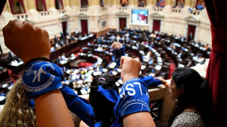 Por unanimidad, aprobaron el proyecto de Lengua de Señas