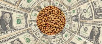 El nuevo dólar soja regirá desde el lunes 