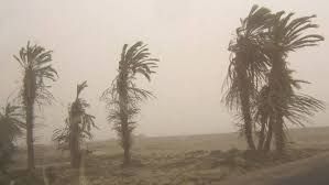 Alerta amarilla para Córdoba por fuertes vientos