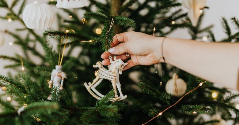 Cuáles son los cinco árboles de Navidad más raros y exóticos del mundo
