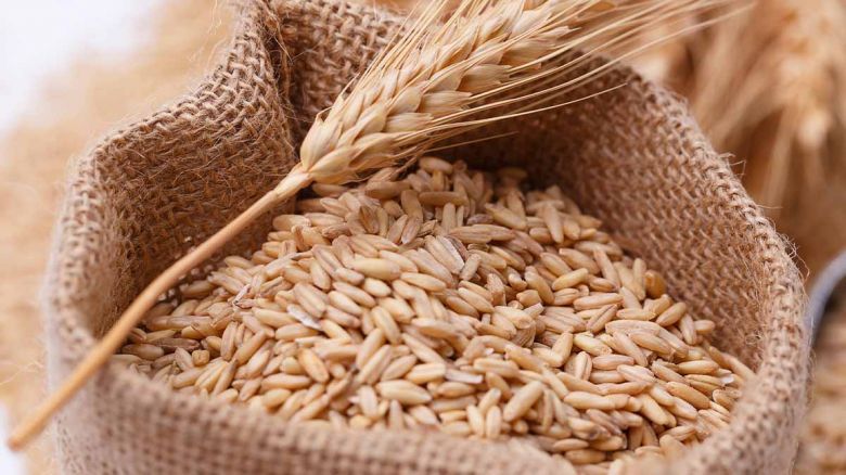 Córdoba eliminó 61 tasas por trámites agropecuarios 