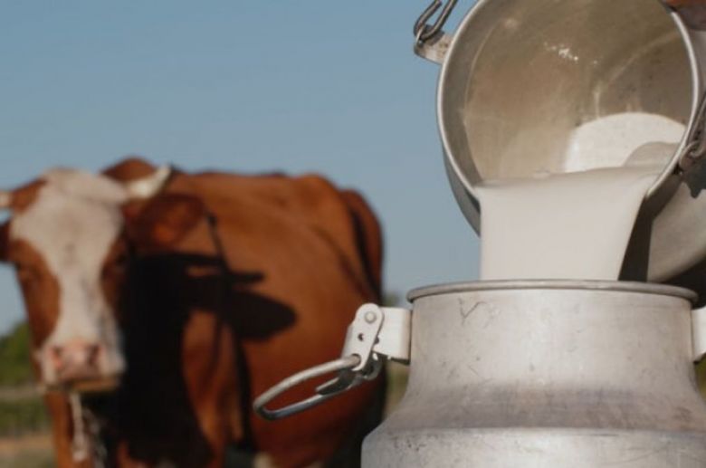 Preocupa la presencia de un herbicida en la leche de los tambos de Villa María
