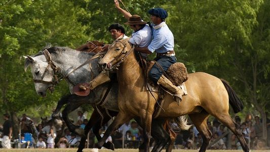 Alto Alegre tendrá su edición número 40 del Festival de Doma