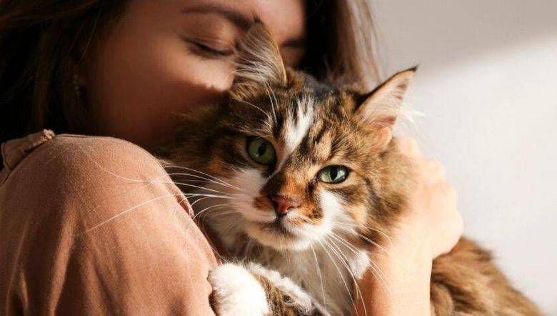 8 razones por las que convivir con un gato puede mejorar la calidad de vida