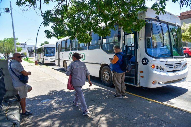 Desde esta semana, funcionan 12 líneas de transporte público urbano con mayores frecuencias