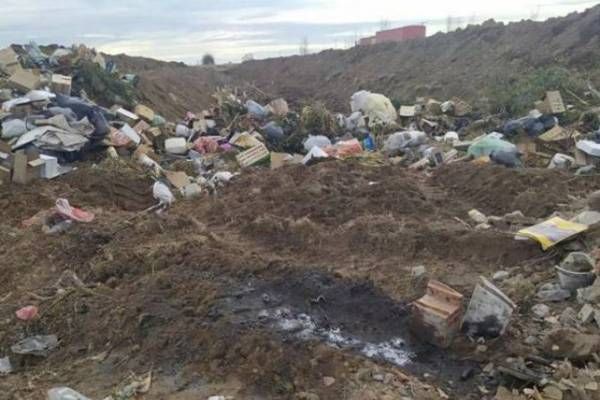Hernando: allanaron por enterramiento ilegal