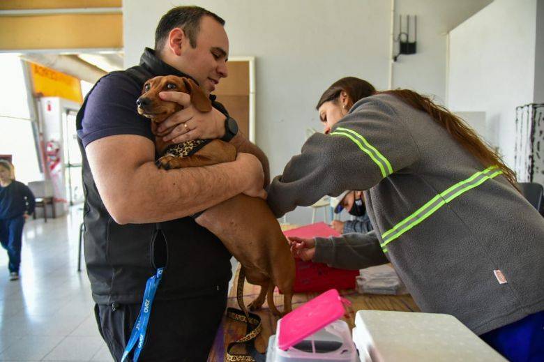 El CAM inicia una nueva Campaña de Vacunación Antirrábica en los barrios