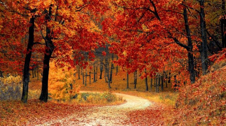 Equinoccio de Otoño 2023: cuándo empieza, significado espiritual y rituales para renovar energías