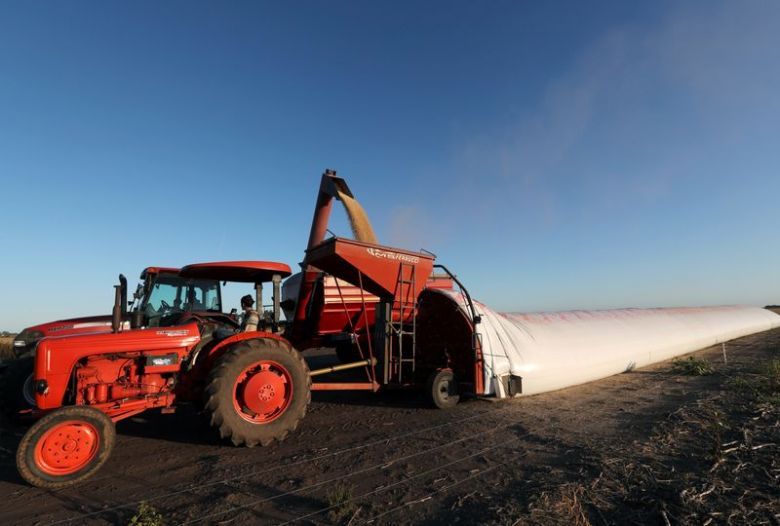 Diputados retomará el análisis del proyecto de ley de Desarrollo Agroindustrial