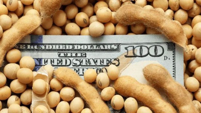 Massa anunció un “dólar agro” 