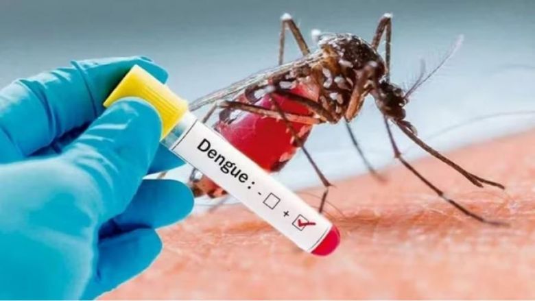 Dengue: cuáles son los riesgos ante la segunda infección