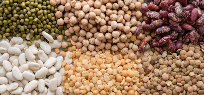 Dólar agro: el programa es bueno, pero… 