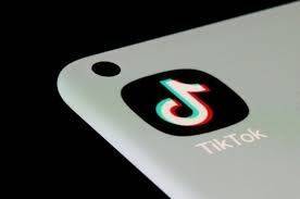 Ofrecen 100 dólares por hora como observador profesional de TikTok