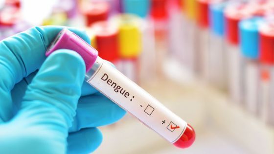 Dengue: se consolida la tendencia al descenso de casos