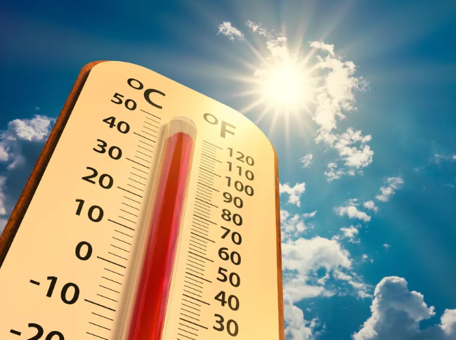 Este otoño fue uno de los más cálidos a nivel nacional