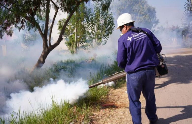Confirmaron dos nuevos casos autóctonos de chikungunya en la provincia