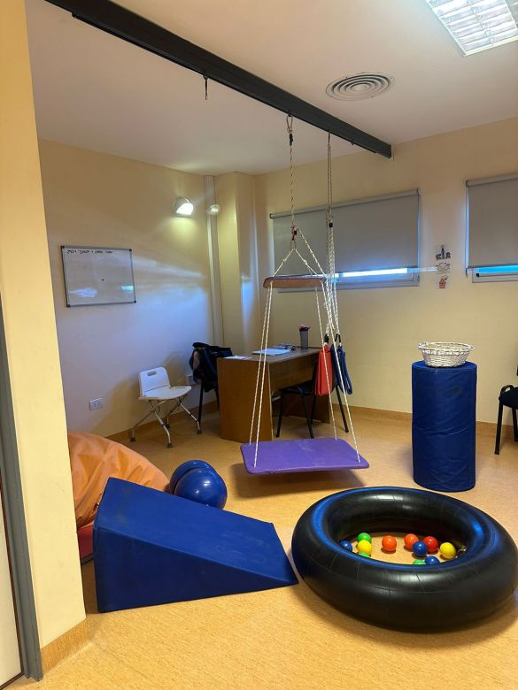 El Hospital Pasteur desarrolló un sistema para tratar pacientes con alteración en el proceso sensorial