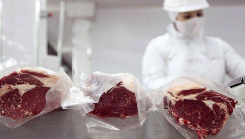 Bahillo desmintió el cierre momentáneo de exportaciones a la carne