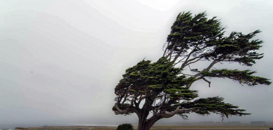 Alertan viento fuerte para la provincia de Córdoba