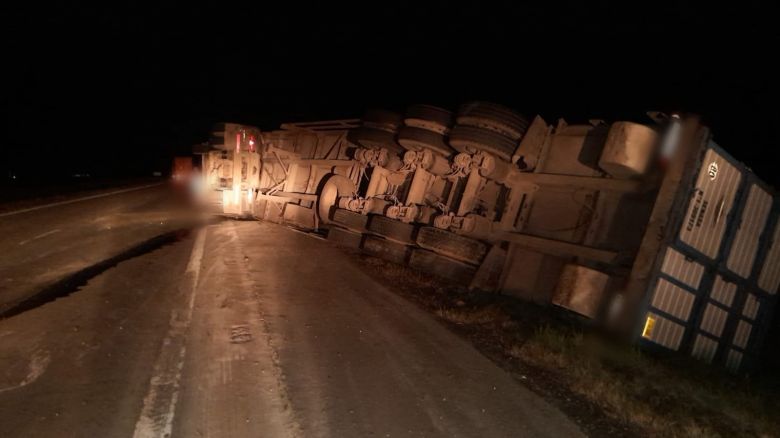 Bell Ville: volcó un camión con más de 100 cerdos