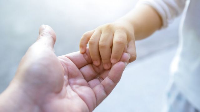 En lo que va del 2023, ya se otorgaron 95 guardas adoptivas en Córdoba