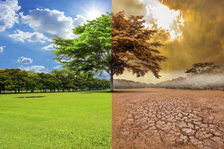 El 70% de los productores ve impactos en sus campos por el cambio climático