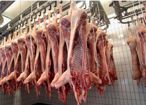 Continúa complicada la actualidad de la carne porcina