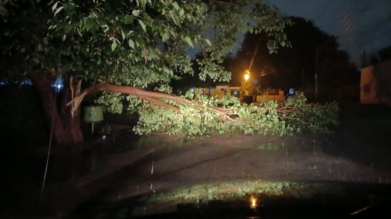 Río Cuarto: fuertes tormentas hicieron destrozos en la ciudad