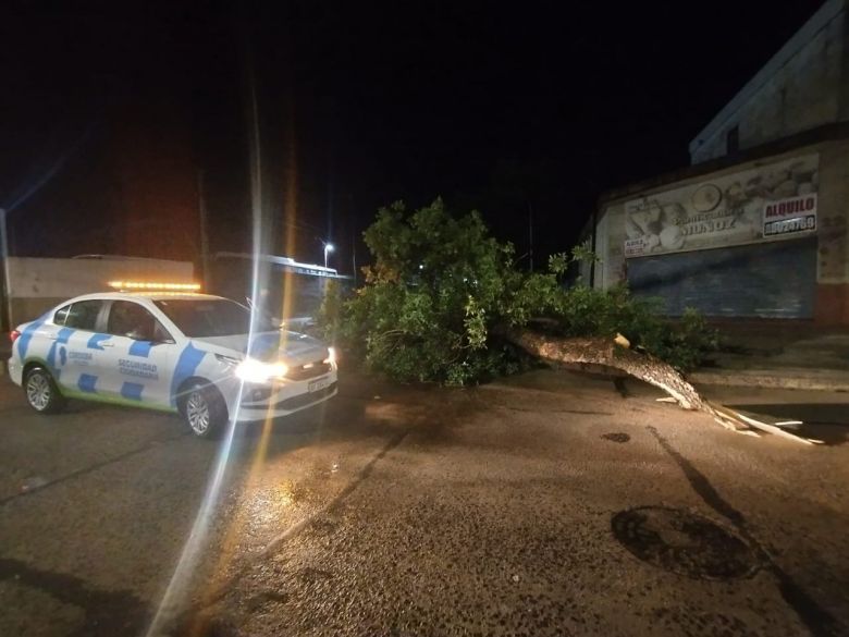 Río Cuarto: fuertes tormentas hicieron destrozos en la ciudad