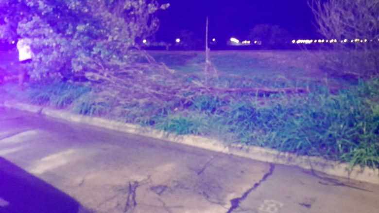 Se produjeron distintos inconvenientes en la ciudad tras la tormenta