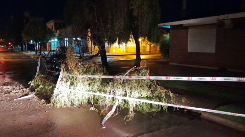 Se produjeron distintos inconvenientes en la ciudad tras la tormenta
