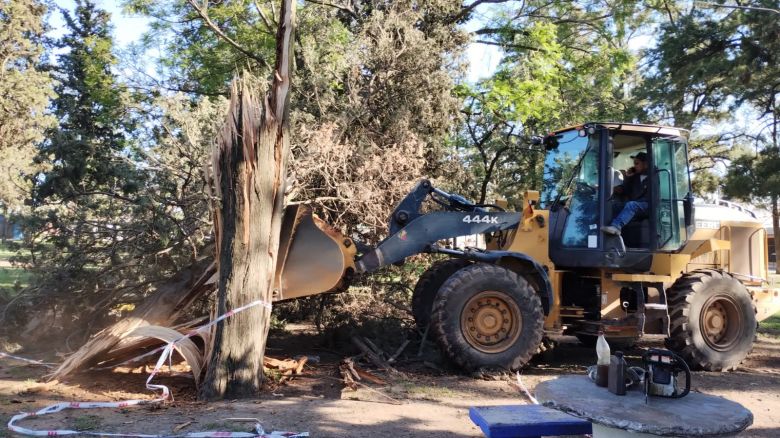 Reparan espacios afectados por la tormenta del 24