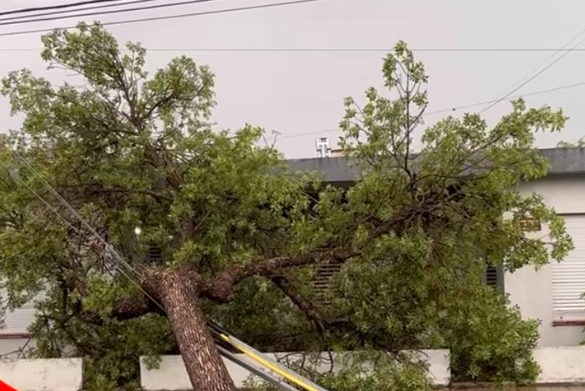 Fuertes tormentas afectaron a Deheza, Cabrera y Perdices