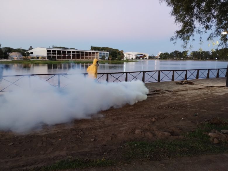 Dengue: intensifican la fumigación y acciones preventivas