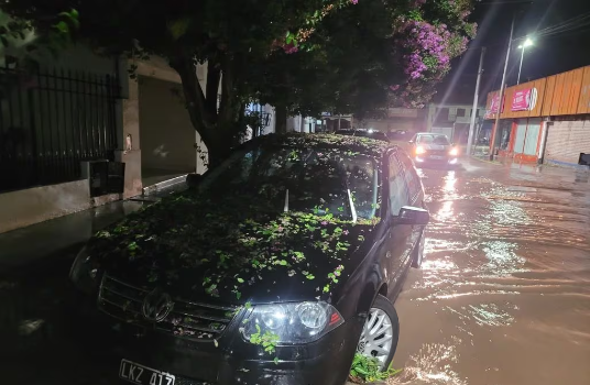 Alta Gracia: tormenta, caída de árboles y casas inundadas