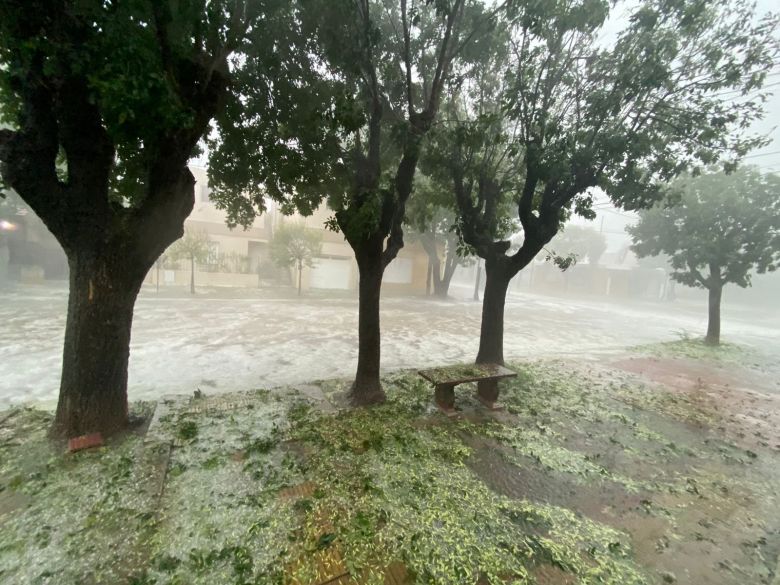 Fuerte temporal con granizo afectó a Río Cuarto y otras localidades de la región 