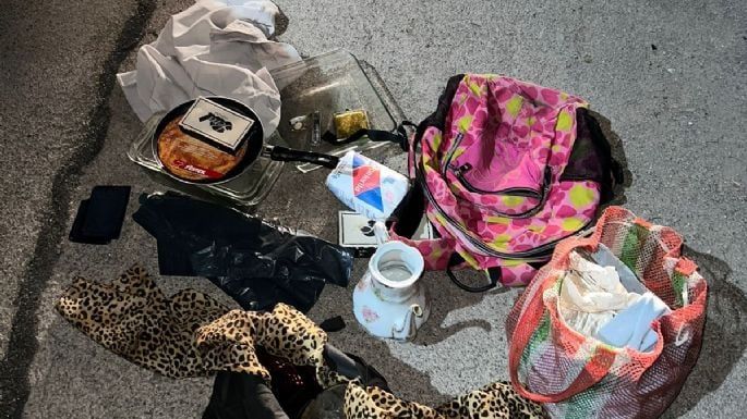 Rompieron una puerta e ingresaron a robar tras saltar una tapia