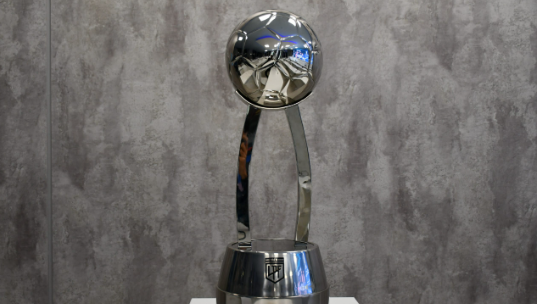 Así se jugará la primera fecha de la Copa de la Liga