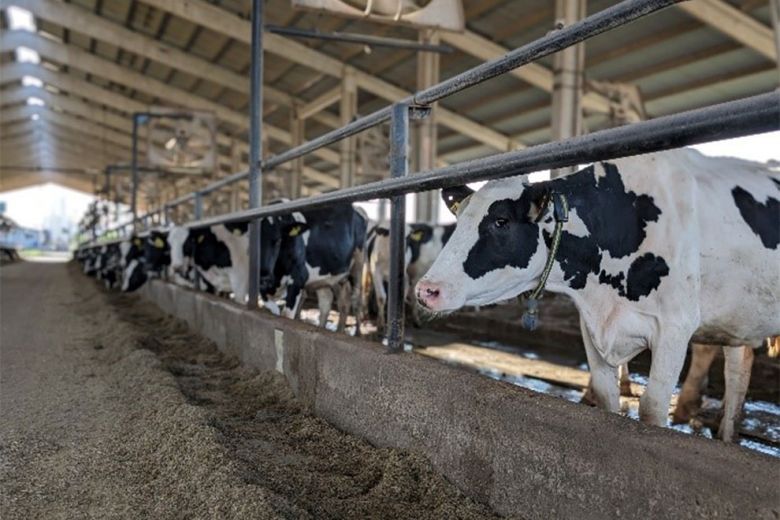 La Provincia explora oportunidades energéticas y desarrollo comunitario en Luque