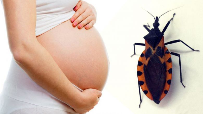 Campaña para prevenir el Chagas congénito