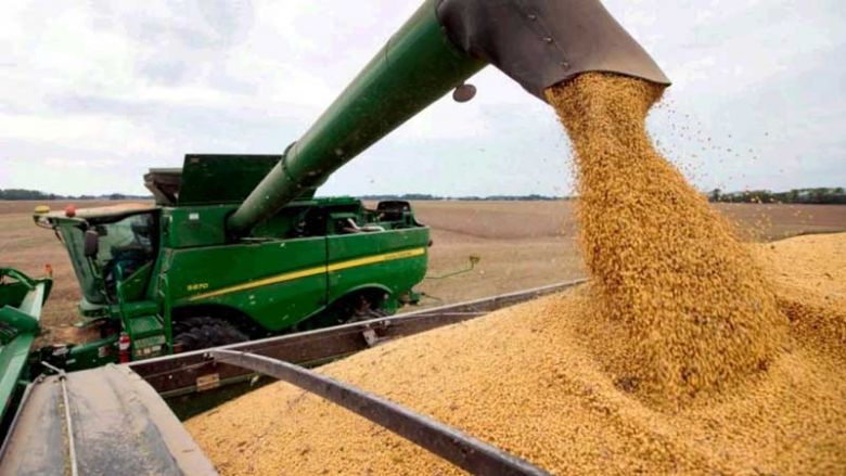 La cosecha récord dejaría ingresos por casi 30 mil millones de dólares