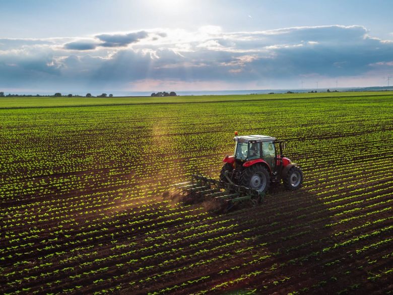 Cómo demuestro que mi campo es “libre de deforestación”