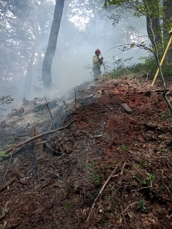 Bomberos de la región colaboran en el incendio del parque Nacional Los Alerces
