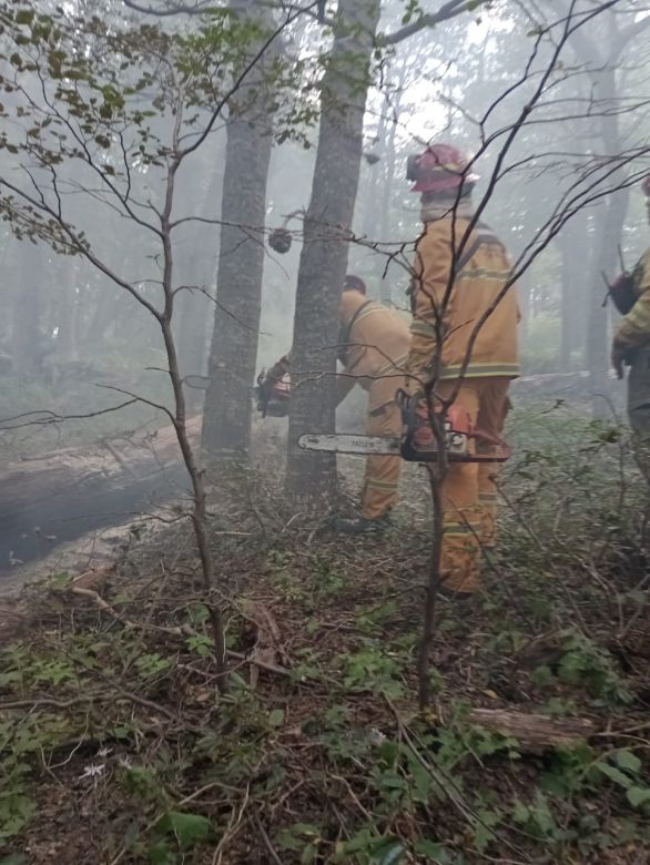 Bomberos de la región colaboran en el incendio del parque Nacional Los Alerces