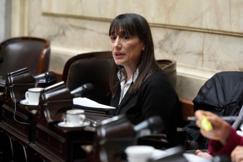 Los efectos del ajuste en la educación: familias cambian de escuela privada a una pública 